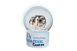 Snow Globes - International Antarctic Centre